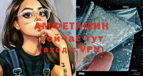 молекула духа Михайловск