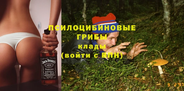 молекула духа Михайловск