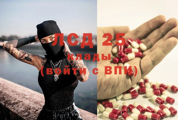 ECSTASY Михайлов