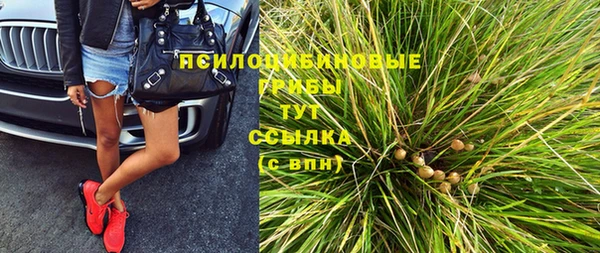 ECSTASY Михайлов