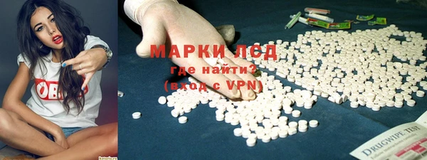 индика Михайловка