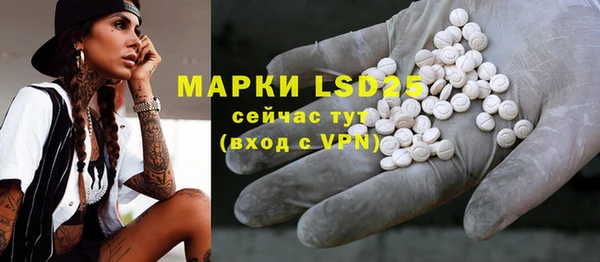 молекула духа Михайловск
