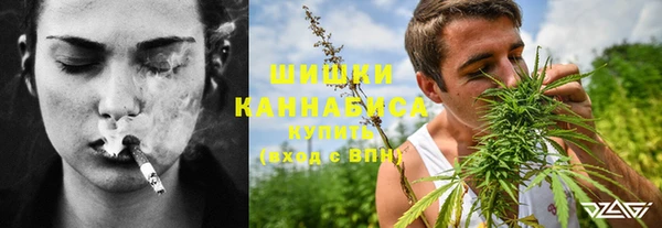 ECSTASY Михайлов