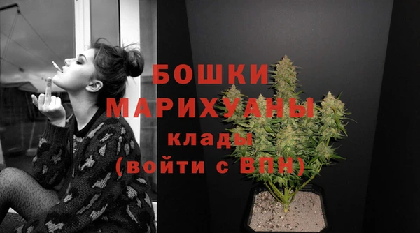 молекула духа Михайловск