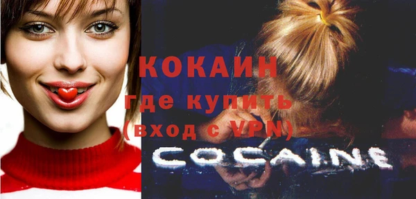 индика Михайловка
