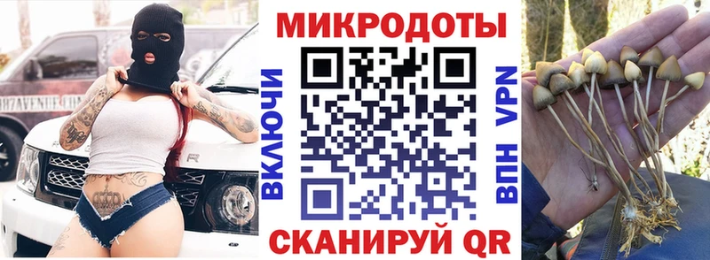 Галлюциногенные грибы Magic Shrooms  купить  сайты  Чишмы 